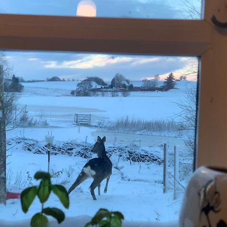 Vinkelgaard Lejlighed Ringsted Eksteriør billede