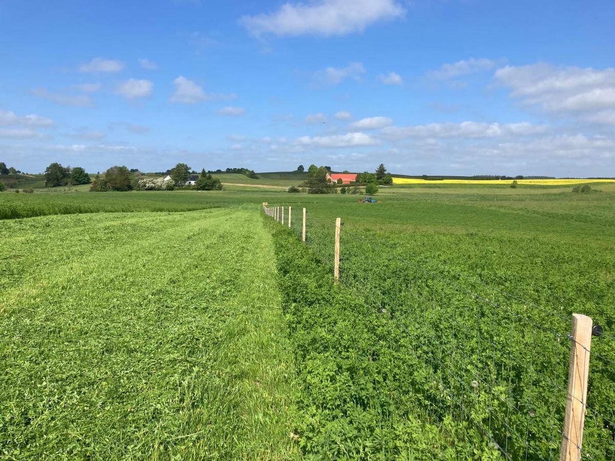Vinkelgaard Lejlighed Ringsted Eksteriør billede